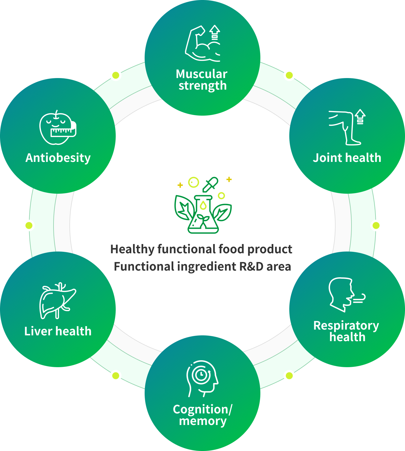Healthy functional food product Functional ingredient R&D area - Muscular strength, Joint health, Respiratory system health, Cognition/memory, Liver health, Antiobesity